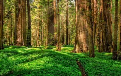 Your family is unique. Your portfolio should be too. What we can learn from the Ewing’s that could save your family’s wealth.